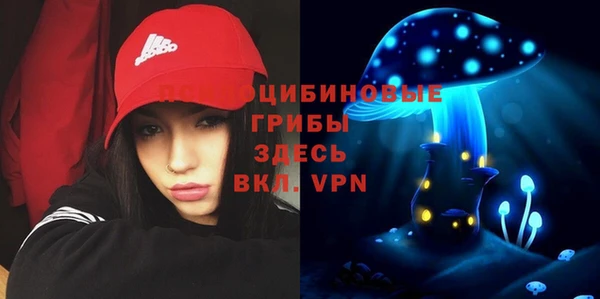 стаф Приозерск