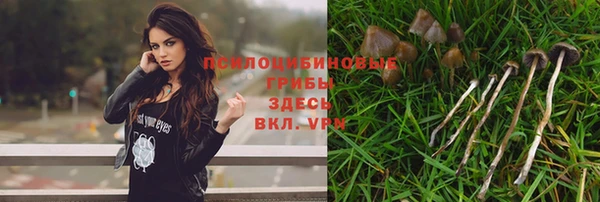 соль ск Беломорск