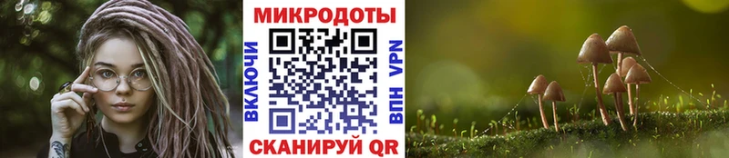 Псилоцибиновые грибы Psilocybine cubensis  Озёрск 